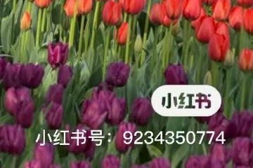 去除小红书水印