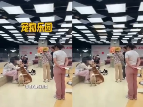 消除视频花字配图