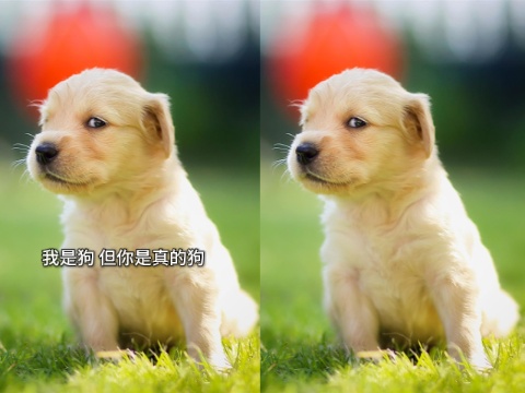 短视频去字幕配图