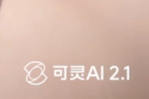 去除可灵视频水印