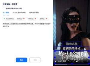 视频去字幕-规则设置