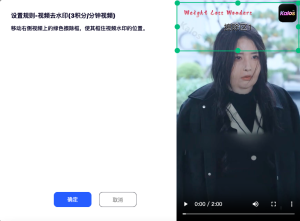 怎样去除视频上的水印和文字-规则设置