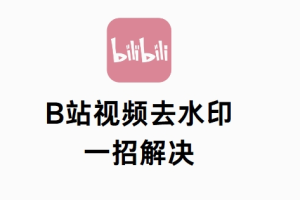 b站视频去水印